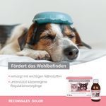 Reconvales Dolor zum Schnäppchenpreis !
