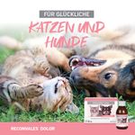 Reconvales Dolor zum Schnäppchenpreis !