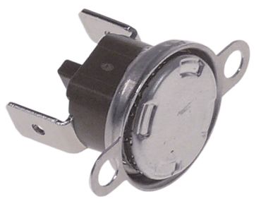 Project Sicherheits-Anlegethermostat für Spülmaschine S50, P500, P400