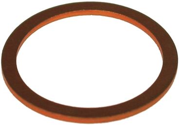 Angelo Po Flachdichtung für FCV101DS, FCV101, FC61 Aussen 32,9mm