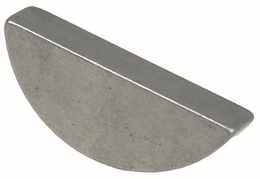 Fimar Nutenstein für Teigknetmaschine IM50C, IM50F, IM50S halbrund