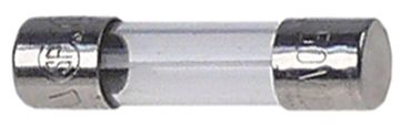 Feinsicherung für Scotsman ACM55, ACM45, AC055, Anliker GSM-FIVE-STAR