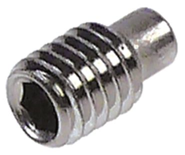 MKN grub screw socket hexagon socket M6 length 10mm DIN 915