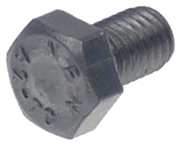 Rational hexagon screw for combi steamer CM201, CM101, CM102 M5
