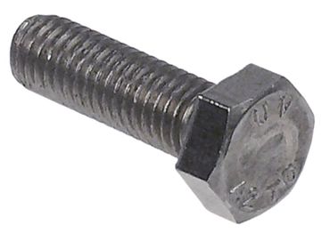 Hexagon screw for Rational CM101, CM201, CM61, Brasilia 105SL CNS