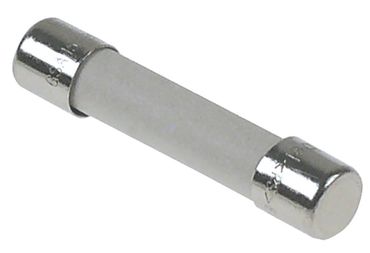 Fuse for microwave Cookmax 743001, ACP RCS511TS, RCS511DS slow blow