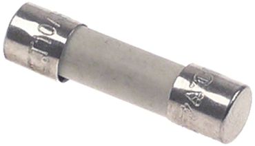ACP microfuse for microwave RMS510T, RMS510D medium time 250V 10A