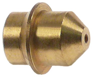 Zanussi Gasdüse für Electrolux RSV/G2, RSF/G2, RCF/G2 Bohrung 1,95mm