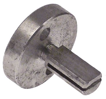 SIT Adapter für Olis 40SGFR, 60SGFR, 40SGFT Achse ø 10x8x19/19mm