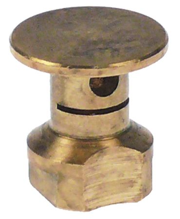 Bertos Zündbrennerkopf für G7F4PW+FG1, G7F4PW+FG M8x0,75 IG