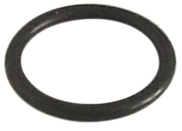 O-Ring für Silanos 700, 600, 1000, R29A, Winterhalter WKTS, MTR, MTF