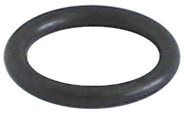 O-Ring für Winterhalter GS502, GS515, GS501, Silanos 700, 600, 1000