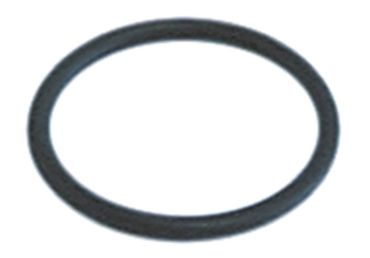 O-Ring für Hoonved APS60, APS53, APS48, Winterhalter GS302, GS315