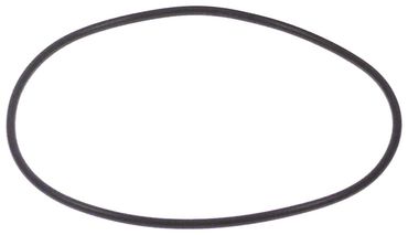 O-Ring für Kaffeemaschine Animo MT200W, MT202W, M200W Aussen ø 97,99mm