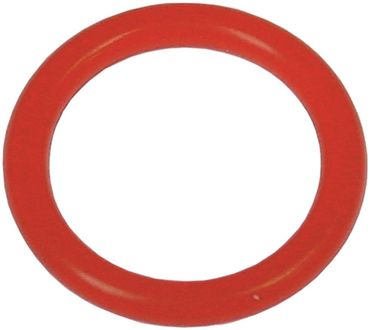 Angelo Po O-Ring für 1A1PI1GA, 1A1PI1G, 30F Aussen ø 20,32mm Silikon