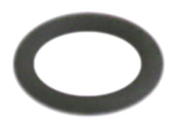 Expobar O-ring for diamond for steam/water pipe outer ø 16,02mm