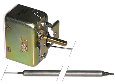 JUMO Thermostat für Pizzaofen Pizza-Group FGMS 2 60 90R 1-polig 1CO