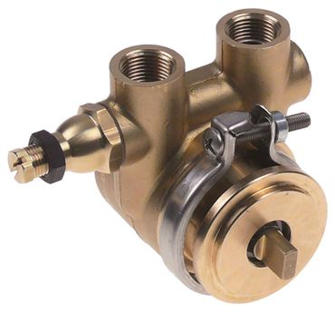 Vibrationspumpen & Pumpenkpfe fr Kombidmpfer & Espressomaschinen |  80.000 Gastro Ersatzteile online kaufen bei gastroteileshop.de