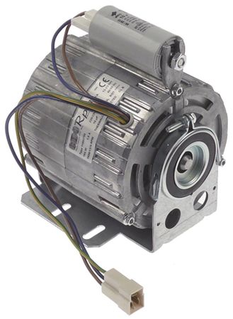 RPM 11002708 Motor für Brasilia 105, 105SL, Gradisca 230V 165W 50/60Hz