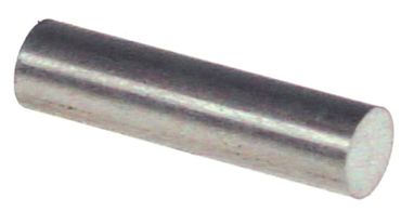 Rational Magnet für Kombidämpfer CM201, CM101, CD101 ø 10mm Länge 40mm