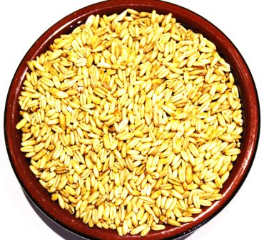 [Paket] Bio Hafer, ganzes Korn im 25kg Sack | Regionale Erzeugnisse &  Bioprodukte