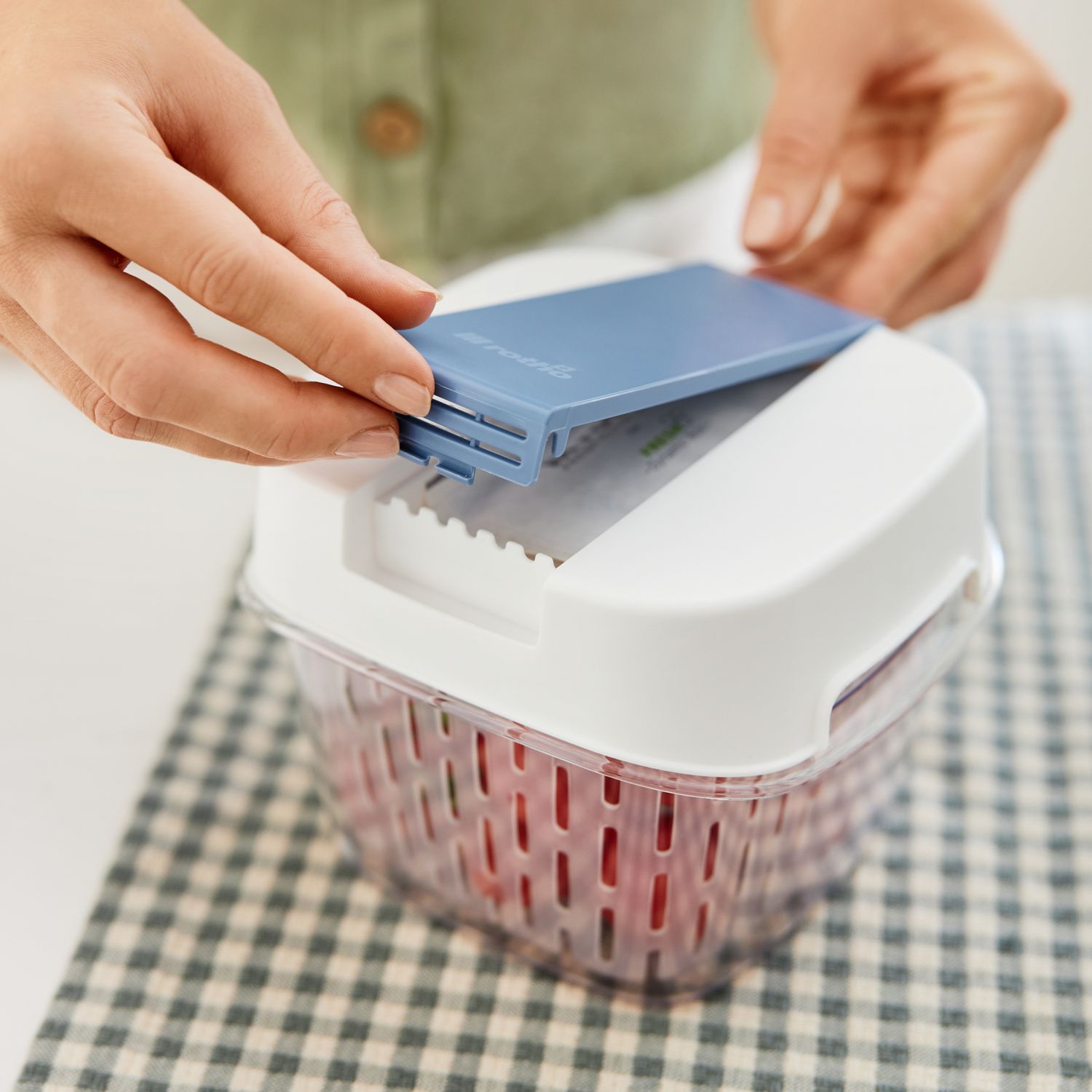 Dynamic Box 1,6 l FRESH