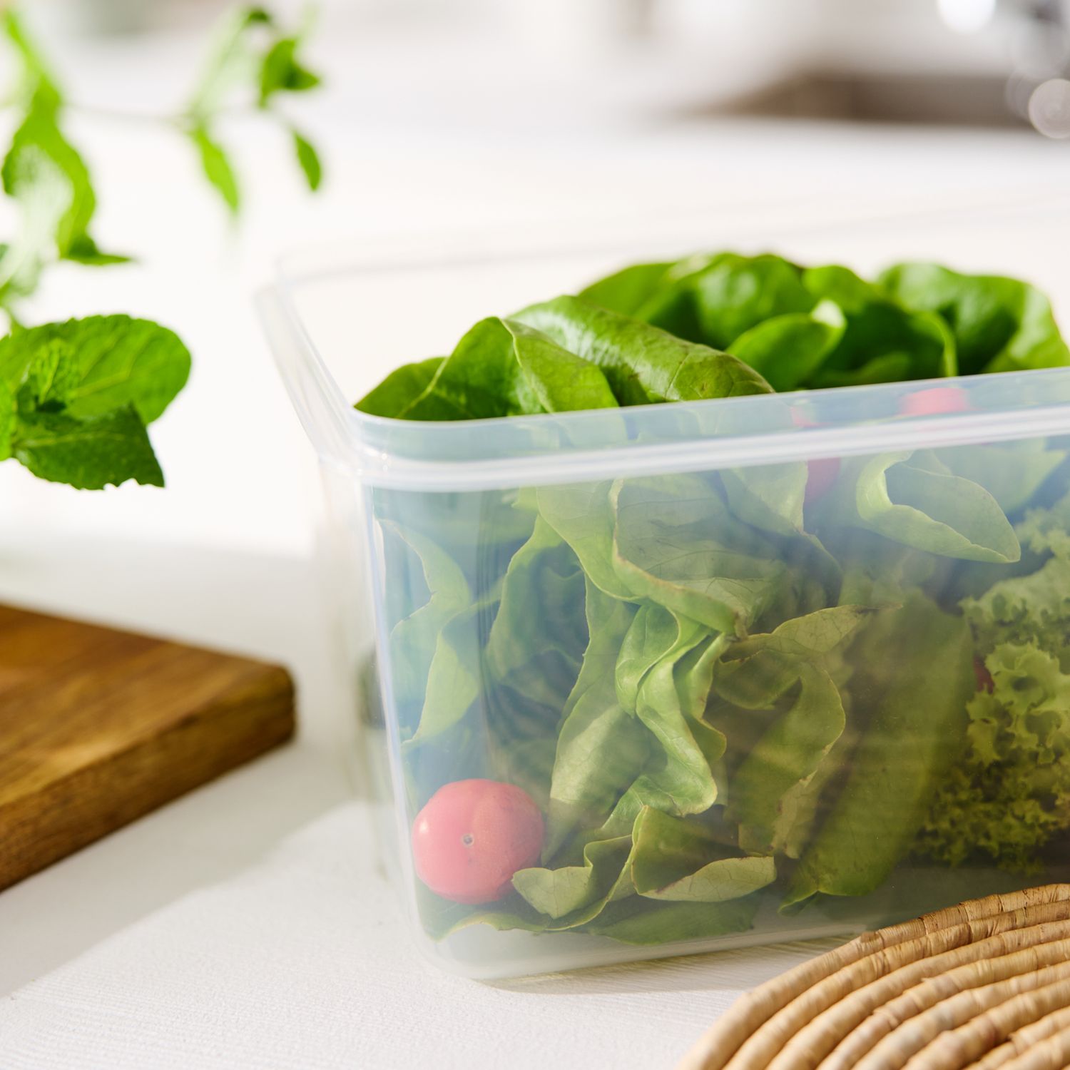 Refrigerator Container Square 8L l RONDO