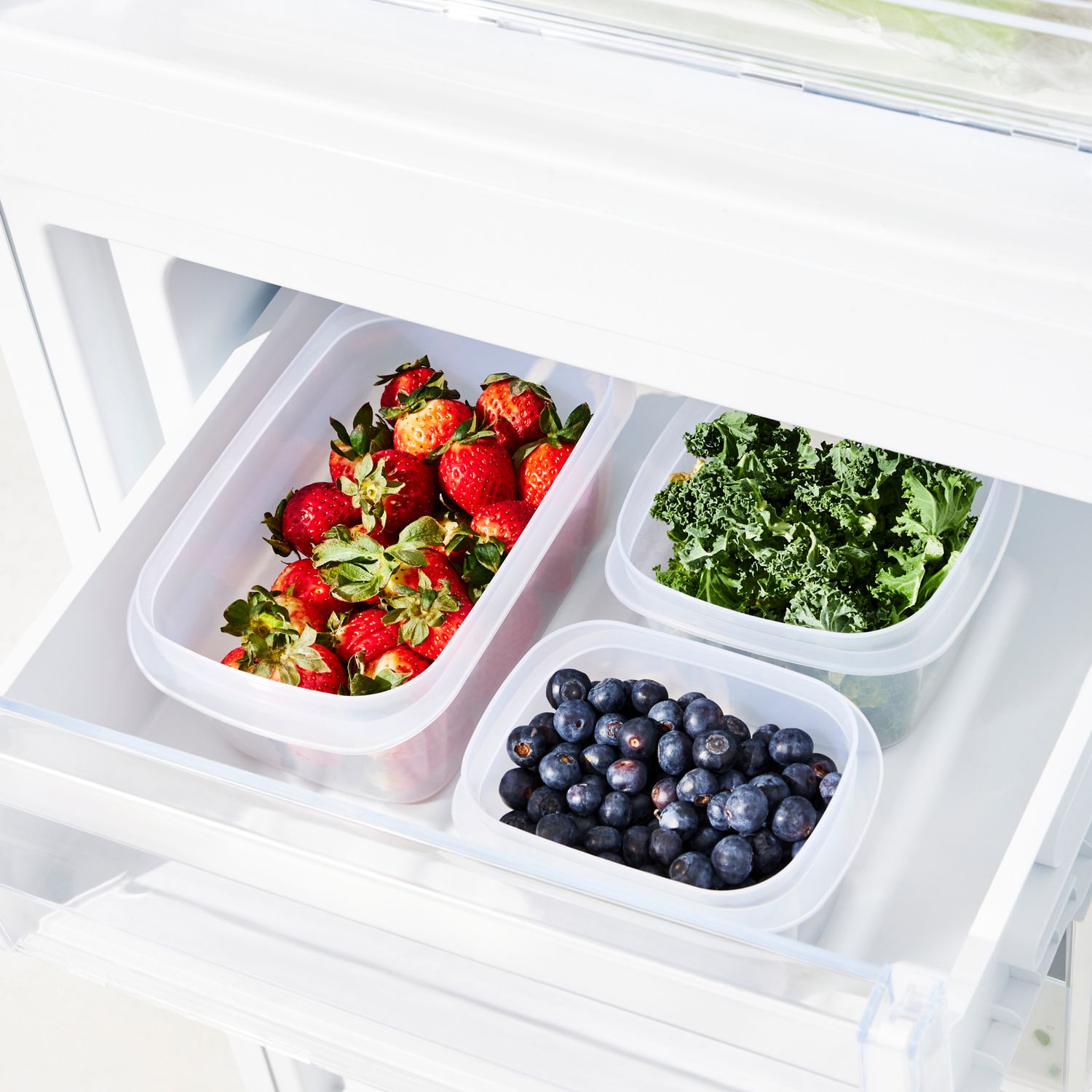 Kühlschrankdose 1.0 l hoch ELEMENTS – Rotho Schweiz