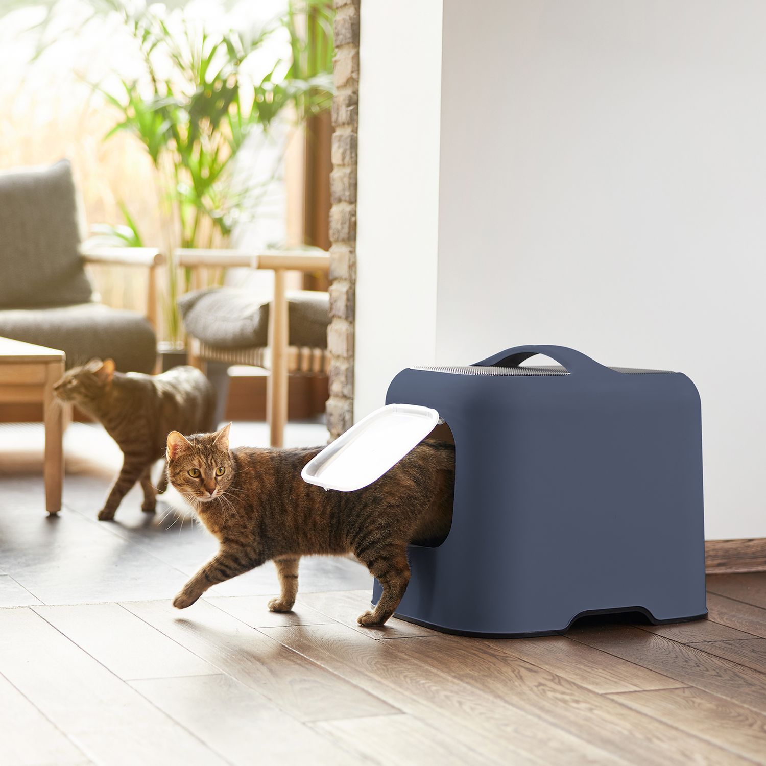 Cat Litter Box Bea SplashGuard Pro