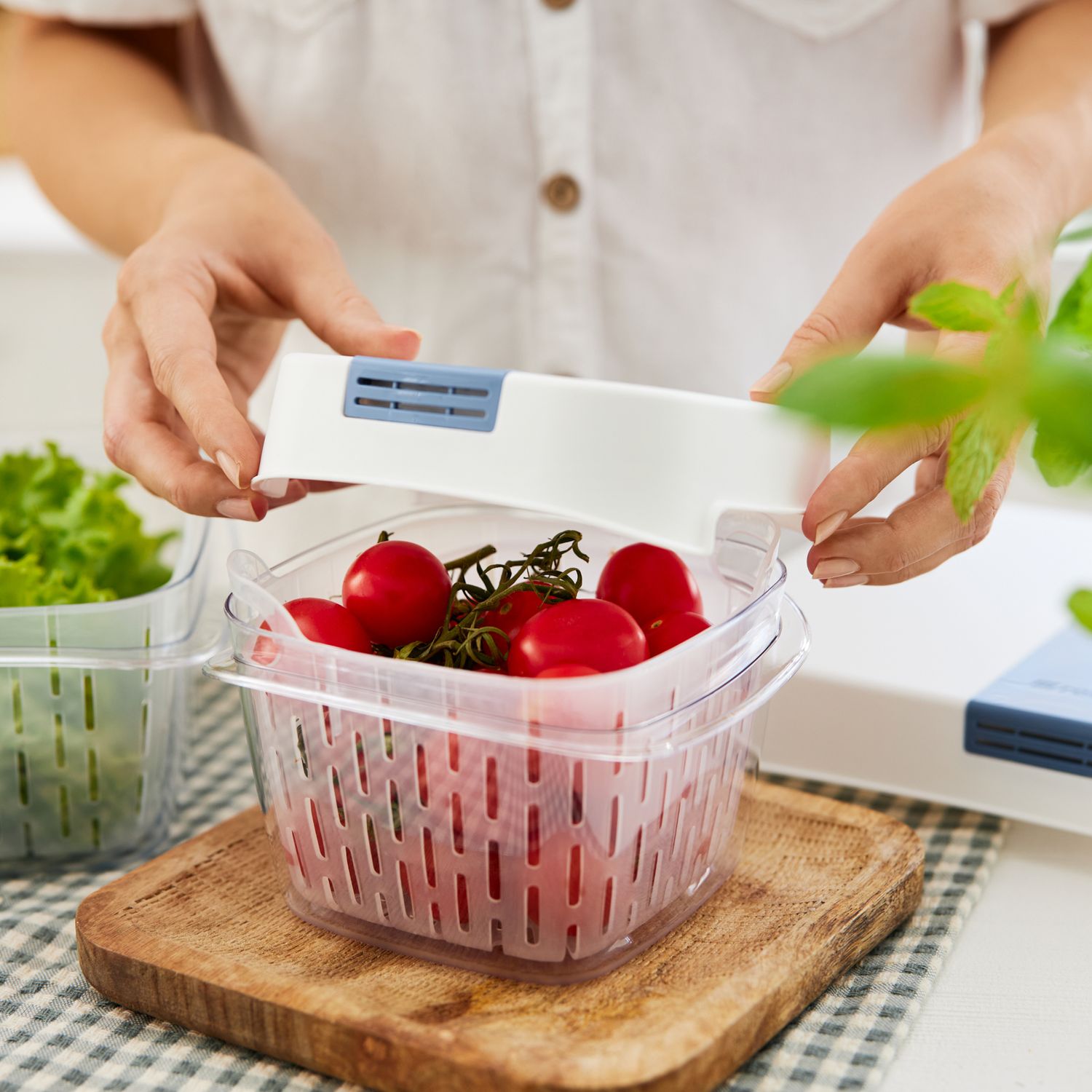 Dynamic Fresh Box Set 1.6 L with 4 Filters