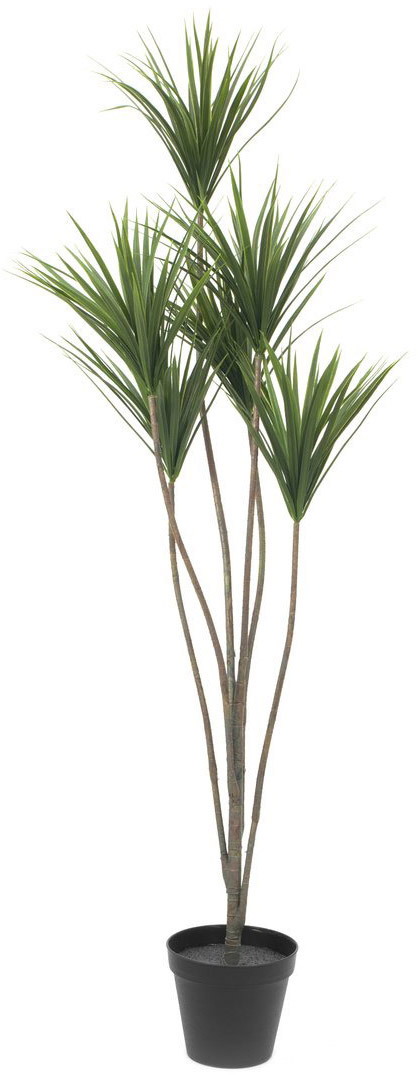 EUROPALMS Yucca Palme, Kunstpflanze, 130cm | eBay.de