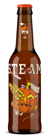 Pumpkin Ale 12x bottle 330ml