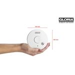 Gloria5.jpg