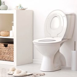 WC Sitz Anthrazit mit Absenkautomatik Motiv banjado