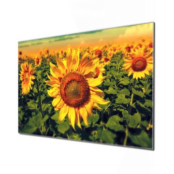 Küchenrückwand Glas Motiv Sonnenblumen | banjado