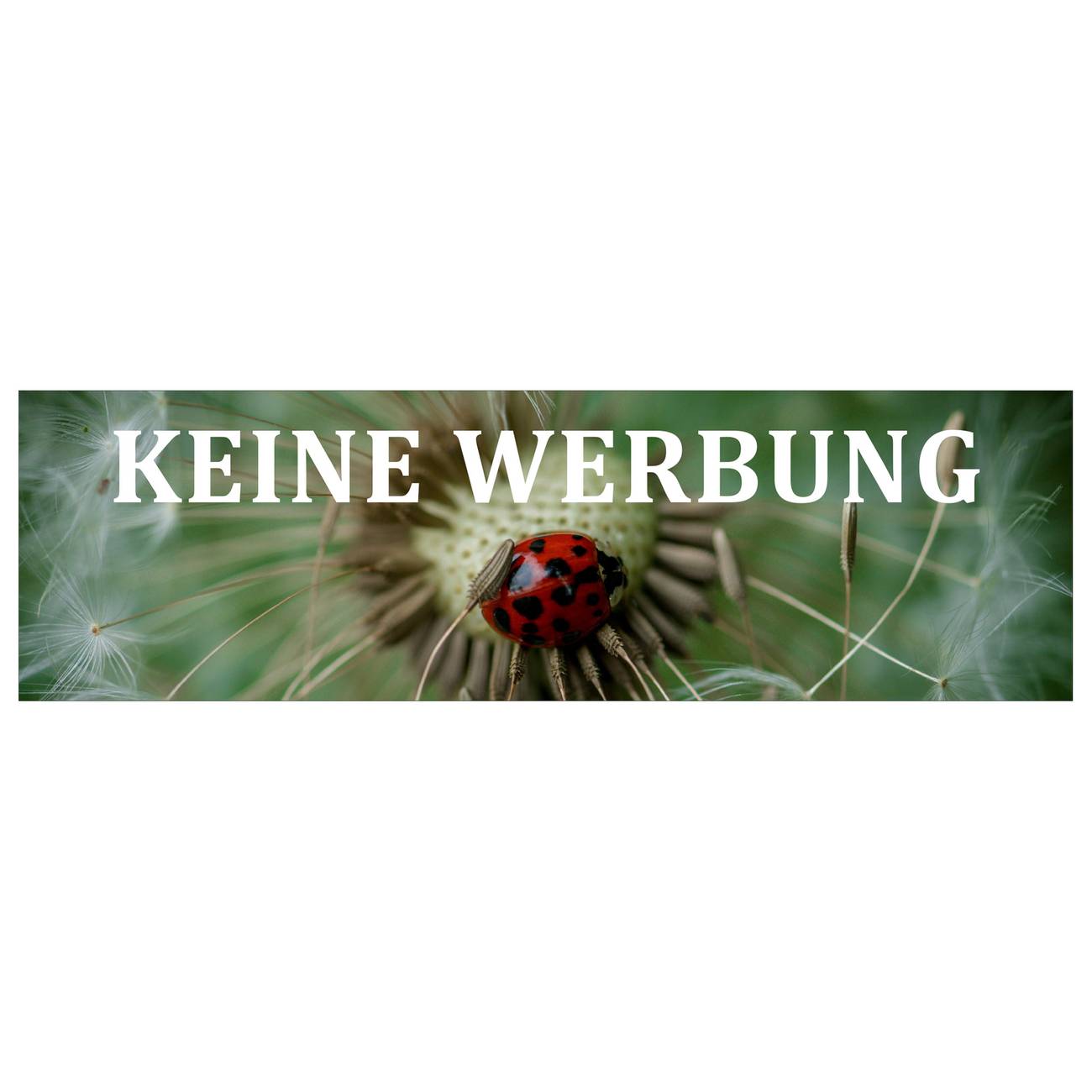 Produkt Bild Bitte keine Werbung Schild Aufkleber wetterfest mit Motiv Pusteblume