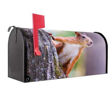 Design Briefkasten mit Wunschname und Zeitungsrolle Motiv Eichhörnchen