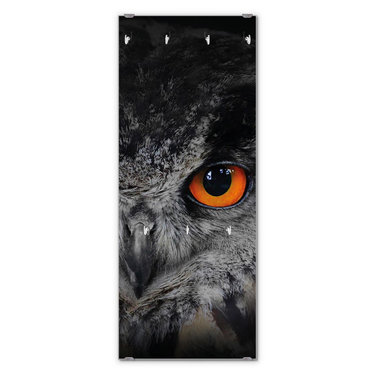 Banjado Wandgarderobe aus Echtglas, 50x125cm groß, Paneel mit 7 Haken und Motiv Uhu, Garderobenleiste mit Montagematerial, Design Flurgarderobe