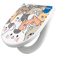 banjado Katzen kaufen