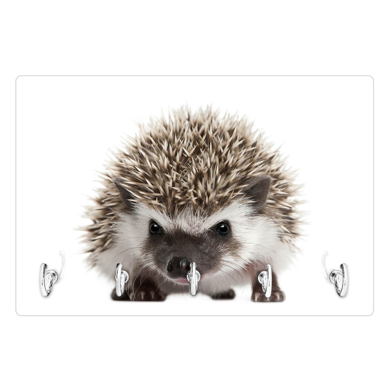 Banjado Schlüsselbrett Aus Glas - Beschreibbare Magnettafel Mit 5 Haken & Esel-Motiv