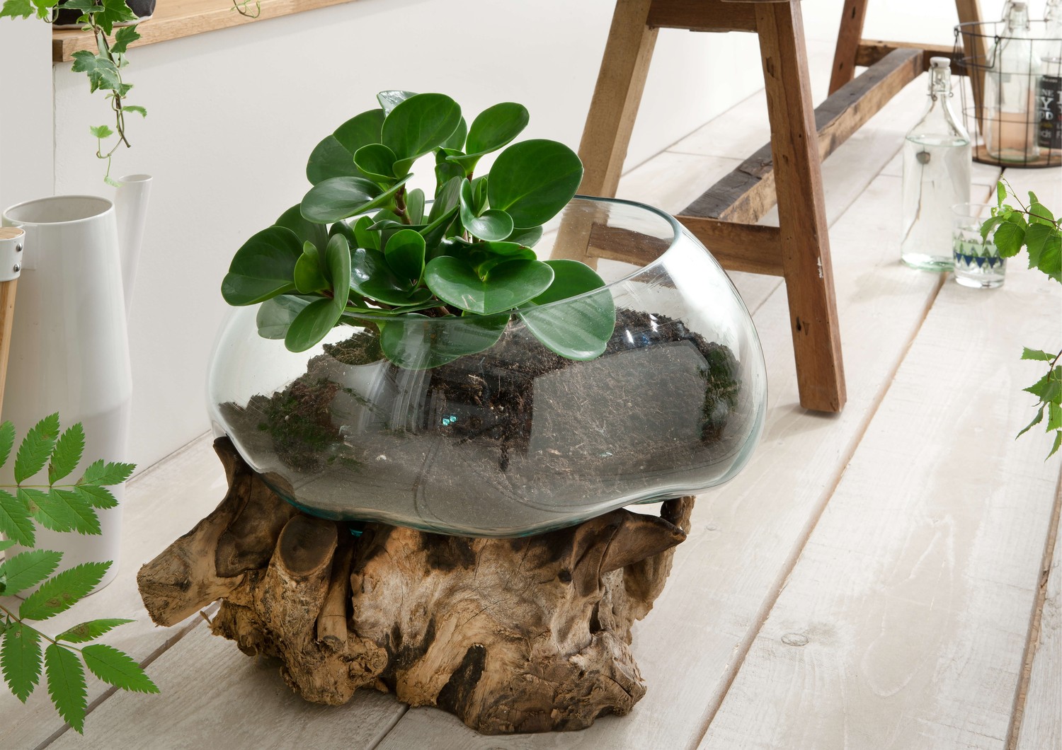 Drop Deco Glas Teak Natur | La Natura