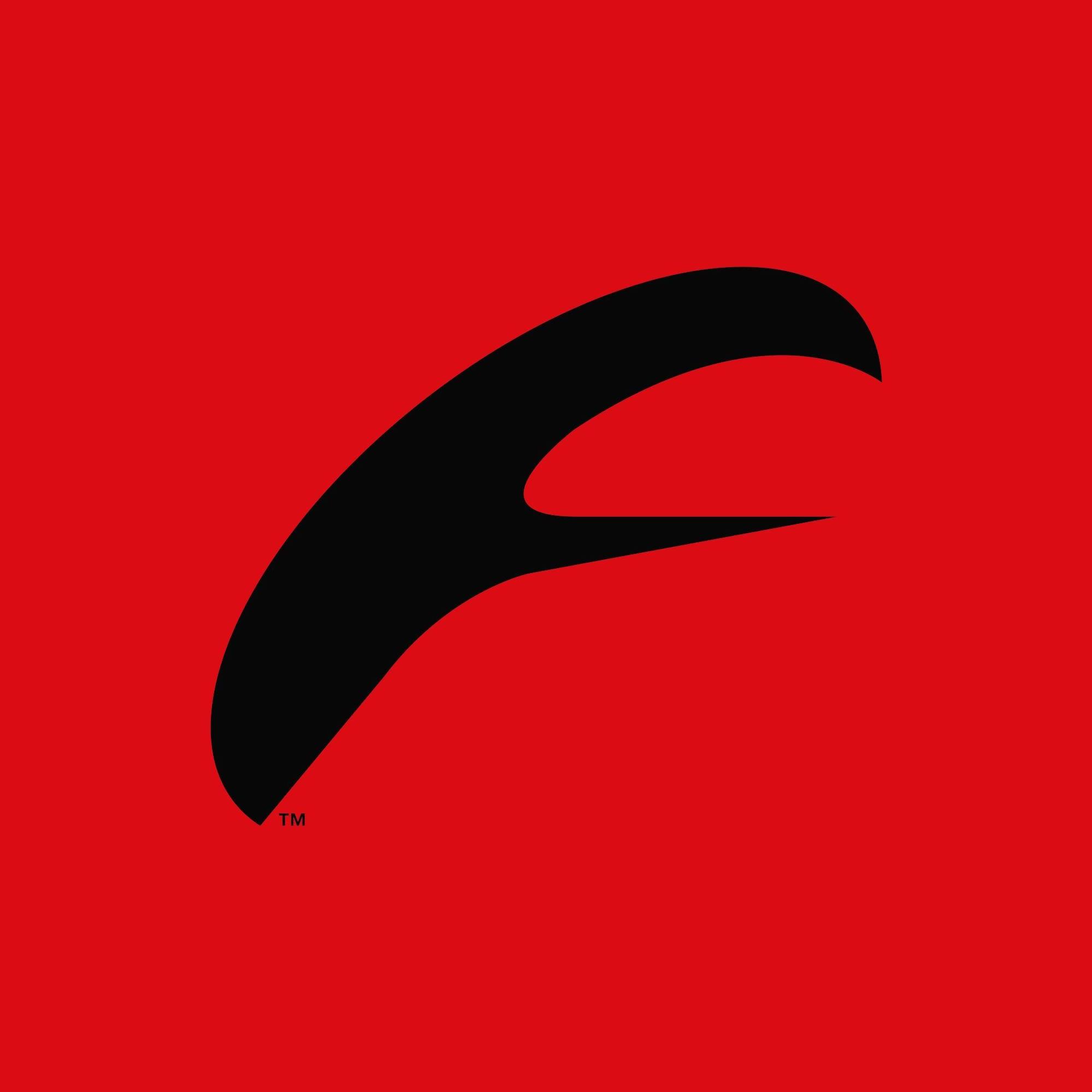 Fulcrum