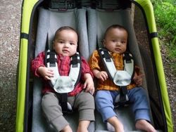 Thule Babysitz fr Chariot Kinderanhnger ab 2002-2016 fr Einsitzer ohne  Stange