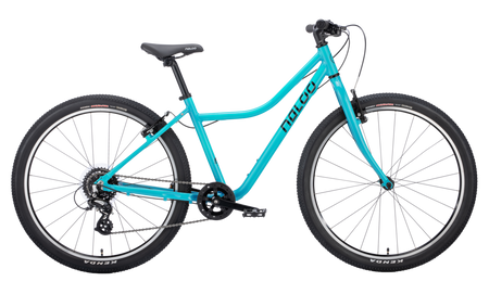 Naloo Chameleon 26 Zoll MK2