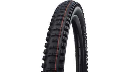 Schwalbe Big Betty Evolution Line