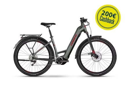 Haibike Trekking 5 Low 