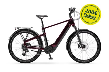 Winora Yakun X10E High 