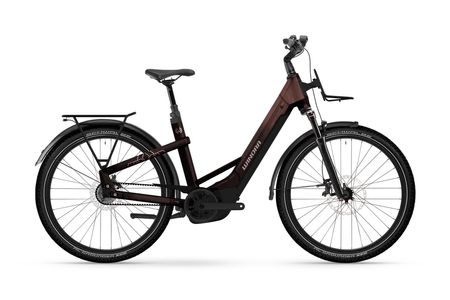 Winora Yakun R5 Low 2025