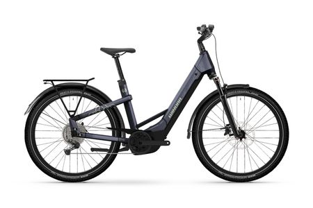 Winora Yakun X10E Low 2025 
