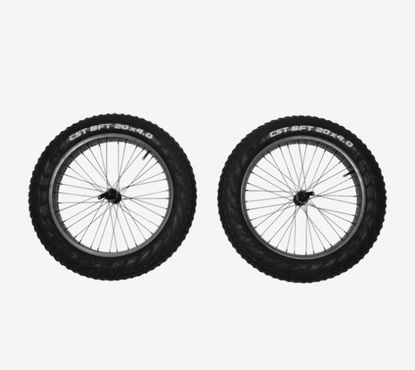 Thule Reacha 20 Zoll Fat Tire Radset